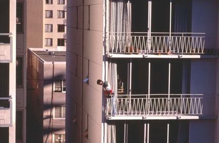 Image by Jamie Dolinko